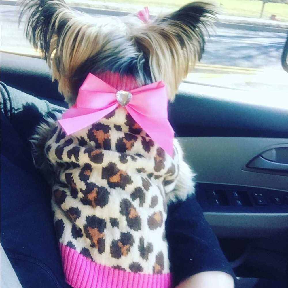 Leopard print dog sweater